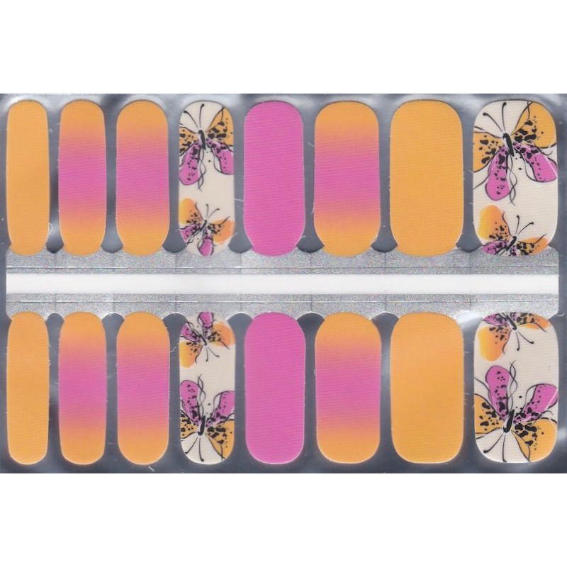 Sunset Flutter Sunset Flutter