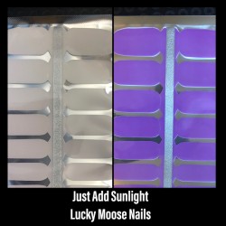 Light it Lilac (LIGHT CHANGING)